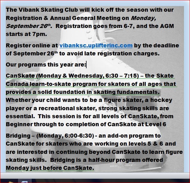 Vibank Skating Registration Poster